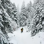 La Casa Di Alba-salome *