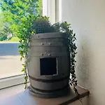 Prázdninový dům La Casa Di Alba-salome *