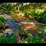 La Casa Di Alba-salome