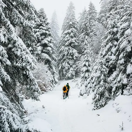 La Casa Di Alba-salome *