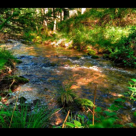 La Casa Di Alba-salome