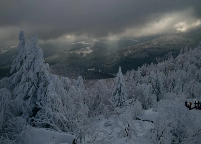 Prázdninový dům La Casa Di Alba-salome
