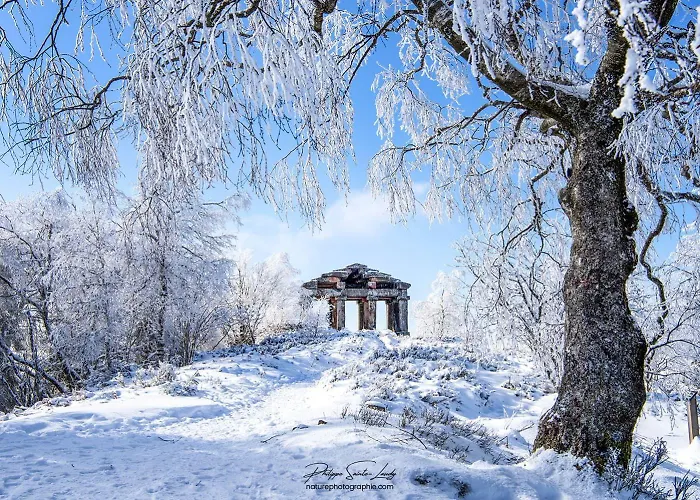 Prázdninový dům La Casa Di Alba-salome *