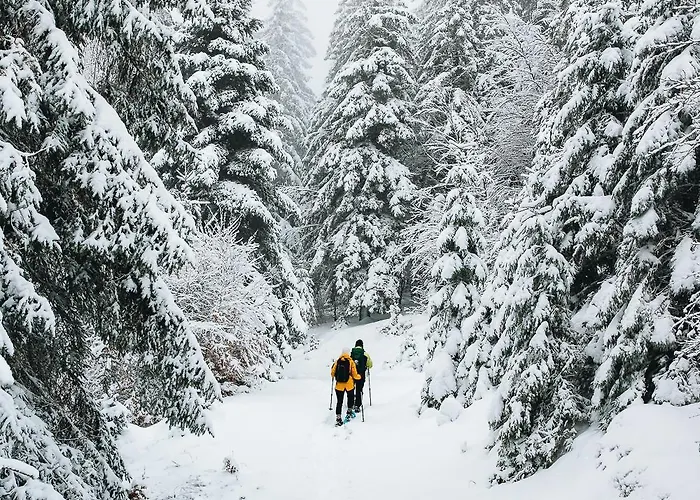 La Casa Di Alba-salome *