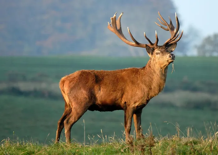 Prázdninový dům La Casa Di Alba-salome Metairies-Saint-Quirin
